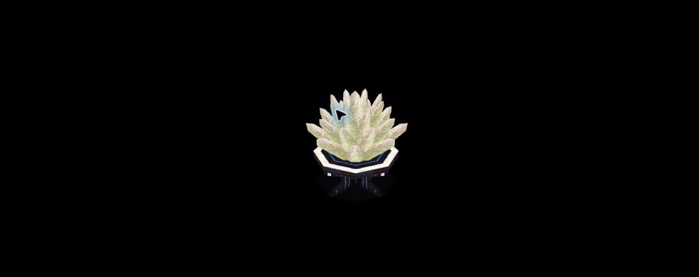 Pale native Coral Ornament B on a small dark base.